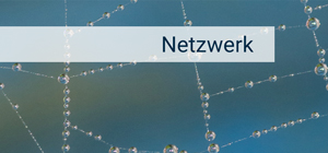 Netzwerk