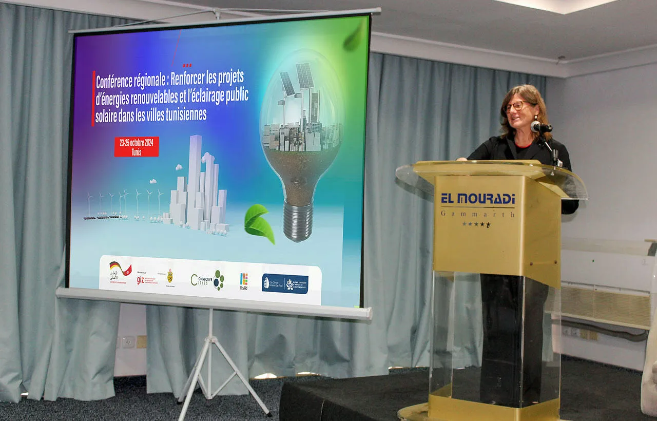 Projects for the expansion of renewable energies