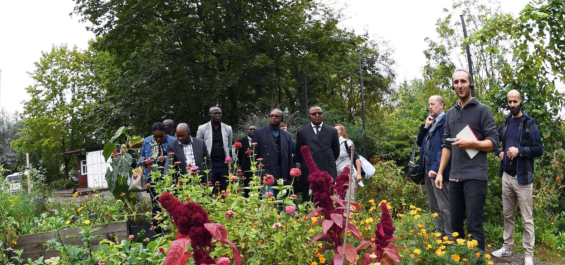 Dresden and Brazzaville embrace urban gardening