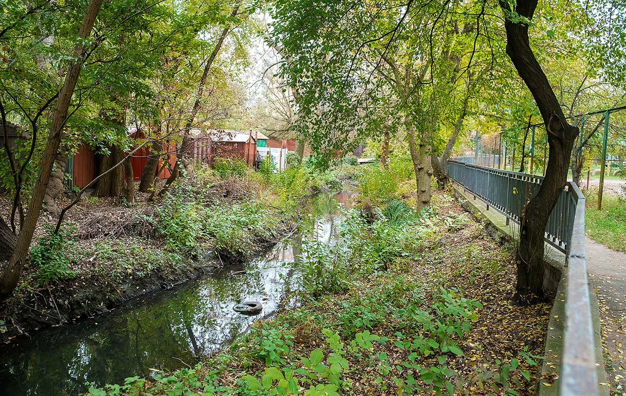 Turning polluted streams into green-blue corridors