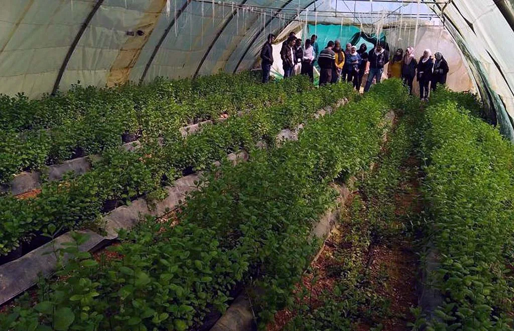 Städtische Gründerzentren in Madaba