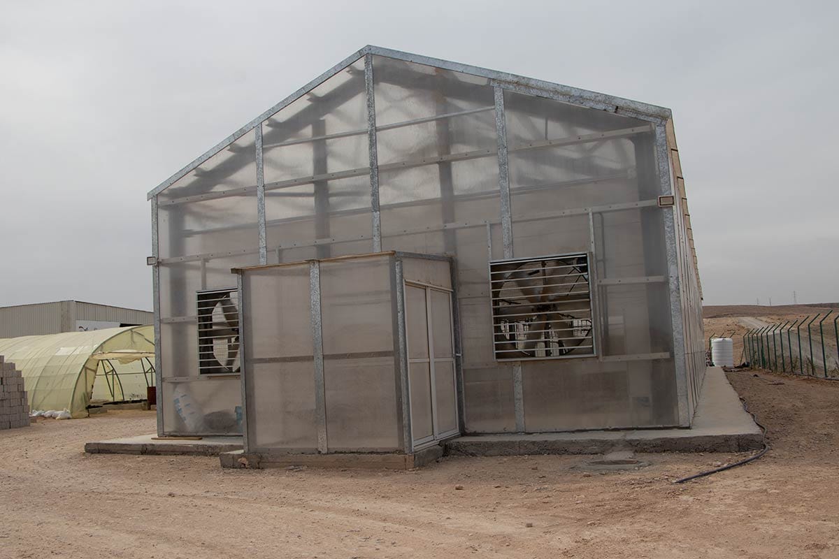 Seeds for the Future