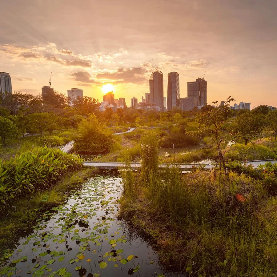 Online Kick-Off for Municipal Water Resilience